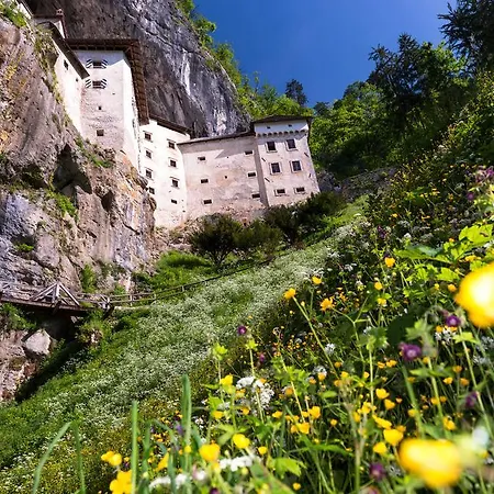 Cave Jama Postojna