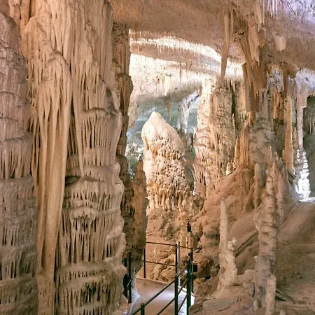 Cave Jama Postojna